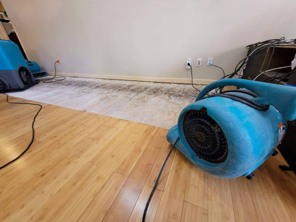 Professional Water Damage Repair technician working in Canyon Lake, CA
